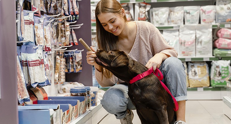 Aprire un negozio di animali