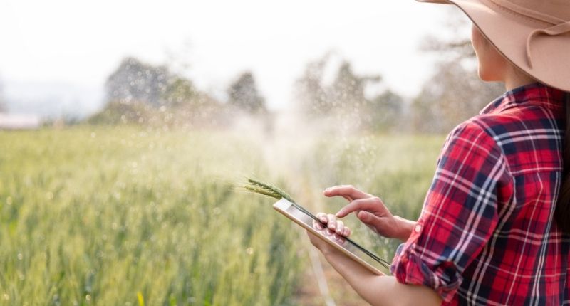 Autofattura agricola: chi deve emetterla e quando è necessaria
