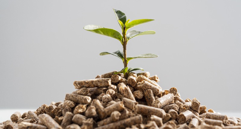 Bonus pellet 2023 con IVA al 10%: cos’è, come funziona e come riceverlo