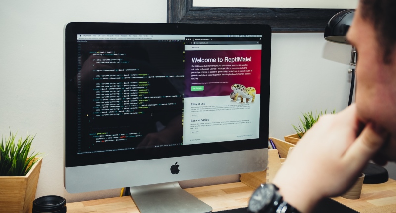 Diventare web developer: procedura, costi e Partita Iva da sviluppatore