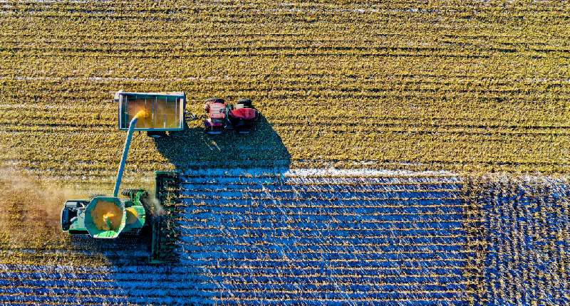 Fascicolo elettronico agricoltura: cos’è e quali vantaggi offre