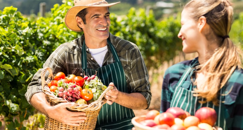 Aprire un’azienda agricola: requisiti, costi e incentivi