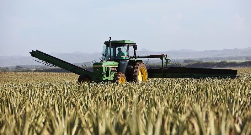 Le proteste degli agricoltori in Italia e Europa non si fermano: ecco quali sono le ragioni