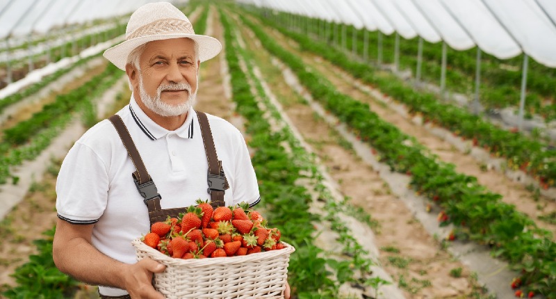 decreto coesione fisco terreni decreto coesione fisco terreni