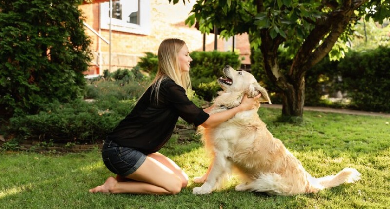 Quanto guadagna un dog sitter in Italia: lo stipendio medio e la tariffa oraria