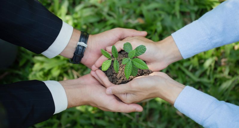 Tecnologie Net Zero: le imprese che investono fatturano il 138% in più rispetto alle altre