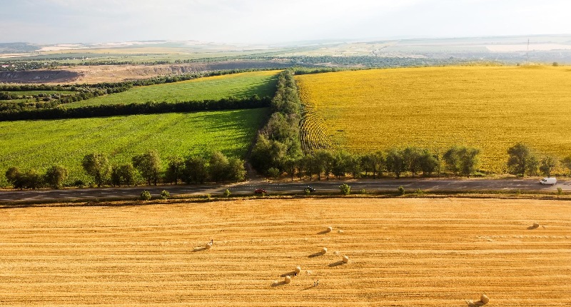 terreno agricolo decreto terreno agricolo decreto
