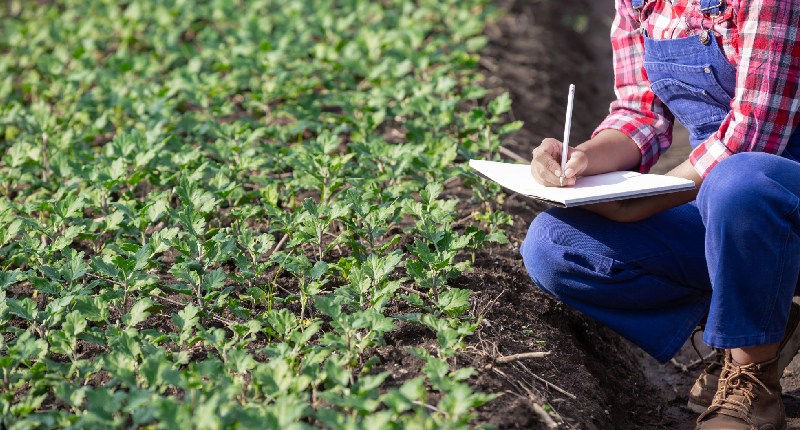 Contributi agricoli 2026, l’INPS pubblica le aliquote aggiornate e le scadenze F24: cosa cambia e chi deve pagare