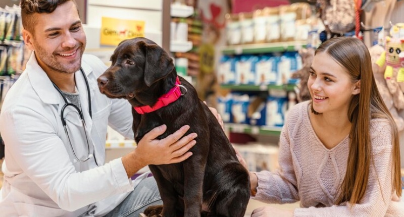 Aprire una farmacia veterinaria: come fare, requisiti, normativa e quanto costa