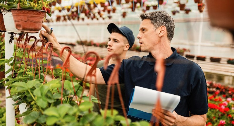 Ismea sostiene l’innovazione agricola dei giovani imprenditori e chiude il 2024 con +7 milioni di utile