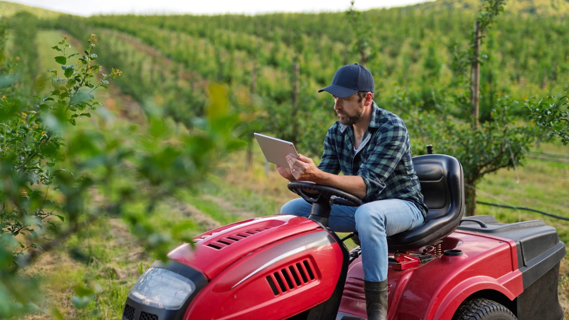 Giovani agricoltori aumentano in Italia, produttività è doppia rispetto a media UE: le figure più richieste