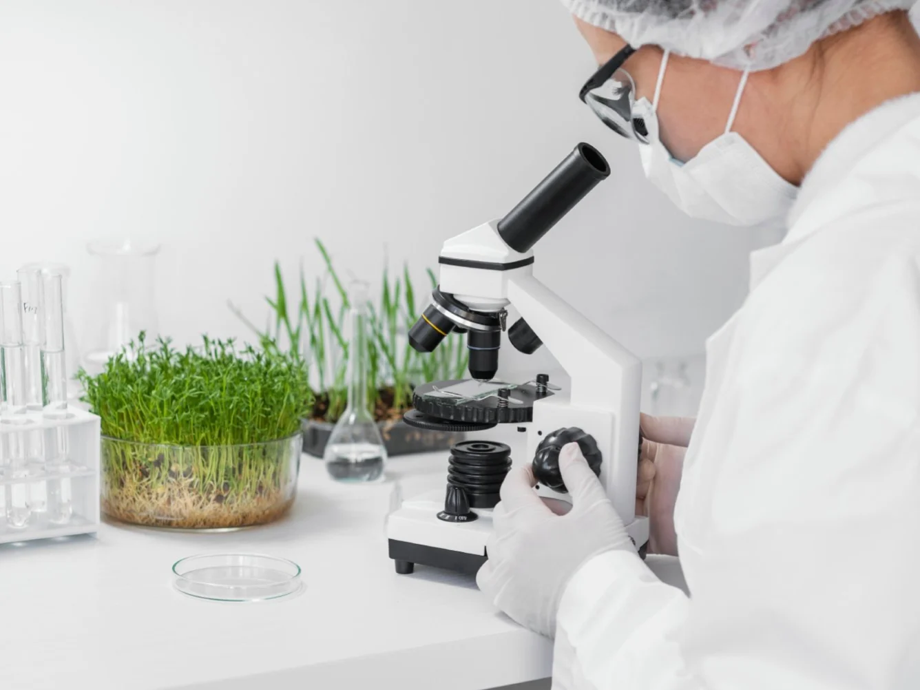 Scadenze fiscali contributi ENPAB 2026: date, importi minimi e pagamenti per biologi